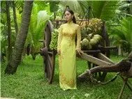 Trung Hậu - Ca khúc chọn lọc 2