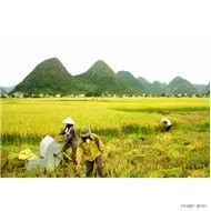 Âm hưởng dân ca tuyển chọn