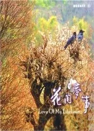 Music Landscape: Love Of My Lifetime (New Age)