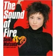 The Sound Of Fire (Single)