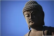 Tâm hướng đạo