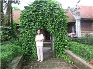 daotrandzung 2