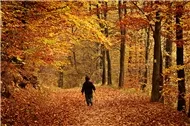 Life's Journey