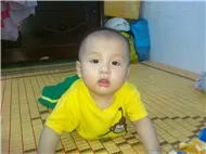 Nhạc Hoa Lời Việt