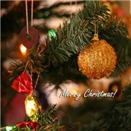 Những Mùa Đông Yêu Dấu (Merry Christmas 2011)