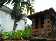 Nhạc sàn.