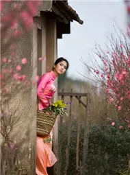 Nhạc Hồng