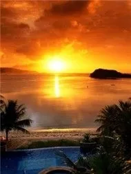 V.A - Love Songs (Tuyển Tập Những Tình Khúc Bất Hủ)