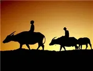 Trữ Tình Quê Hương