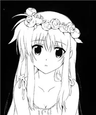 Night Melody