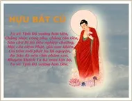 Album Tổng hợp niệm Phật