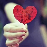 Những bài hát không lời HAY