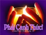 M&Ugrave;A TR&Ocirc;NG ĐỢI