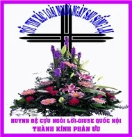 NAY T&Ocirc;I MAI ANH