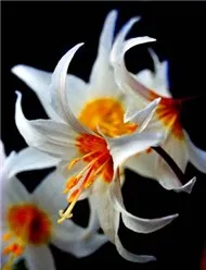 B&Agrave;I H&Aacute;T Đ&Atilde; ĐĂNG