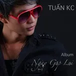 Ngày Gặp Lại (2013)