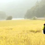 Nhạc Hoa hay