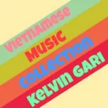 Vietnamese Music Collection