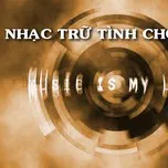 Trữ Tĩnh Collection