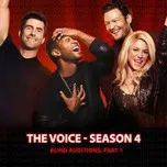 Songs from The Voice US 2013