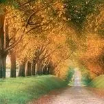 NHẠC CHỦ ĐỀ: M&Ugrave;A THU