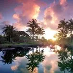 QU&Ecirc; HƯƠNG MẾN Y&Ecirc;U