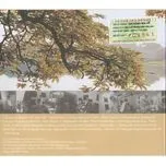 Khi Nắng Mai Về (2011)