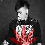 Tuyển Tập Ca Khúc Hay Nhất Của DJ Pharreal Phương (2013)