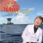 Tổ Quốc Gọi Tên Mình (2012)