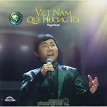 Việt Nam Quê Hương Tôi (2012)