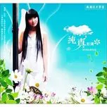 The Best Of Peng Qing