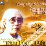 Bóng Cây Kơnia - Ở Hai Đầu Nỗi Nhớ