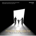 Tình Cha Dang Cánh Bay (Trầm Hương, FMSR Vol.7)