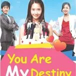 You Are My Destiny OST