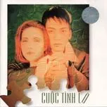 Cuộc Tình Lỡ