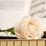 Những Bản Nhạc Kh&ocirc;ng Lời Y&ecirc;u Th&iacute;ch