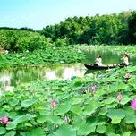 B&Agrave;I H&Aacute;T MANG &Acirc;M HƯỞNG D&Acirc;N CA