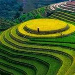 Những Ca Kh&uacute;c H&aacute;t Về T&acirc;y Bắc