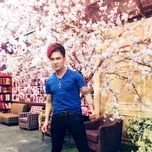 Nhạc Xuân 2017