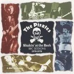 Shakin' At The Beeb: BBC Sessions 1976-1978