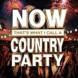 Now That's What I Call A Country Party