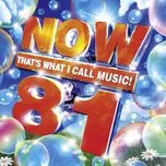 Now That's What I Call Music! 81 (CD2)