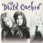 Wild Orchid