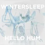 Hello Hum