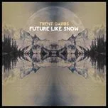 Future Like Snow