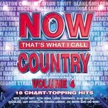 Now That's What I Call Country Vol. 4