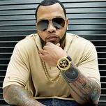 Tuyển Tập Ca Khúc Hay Nhất Của Flo Rida (2013)