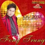 Nỗi Đau Lòng Anh...Mảnh Ghép Trong Tim (2013)