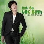 Anh Ba Lục Bình (2013)