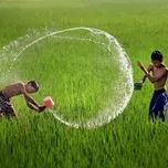 Những Bản Nhạc Phim Việt Hay Nhất